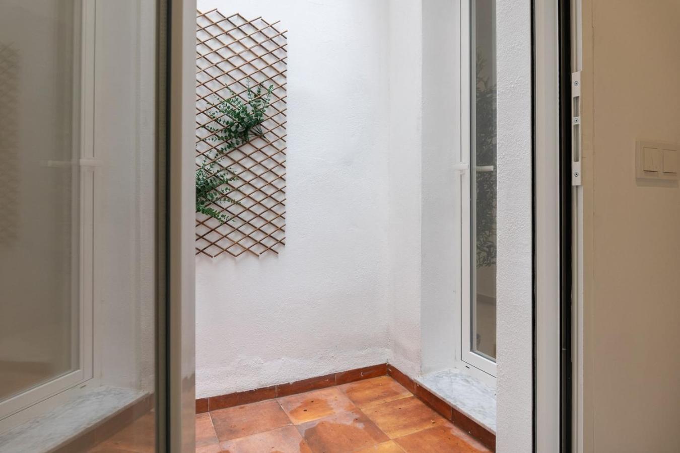 Vlc Host - Alfaro A