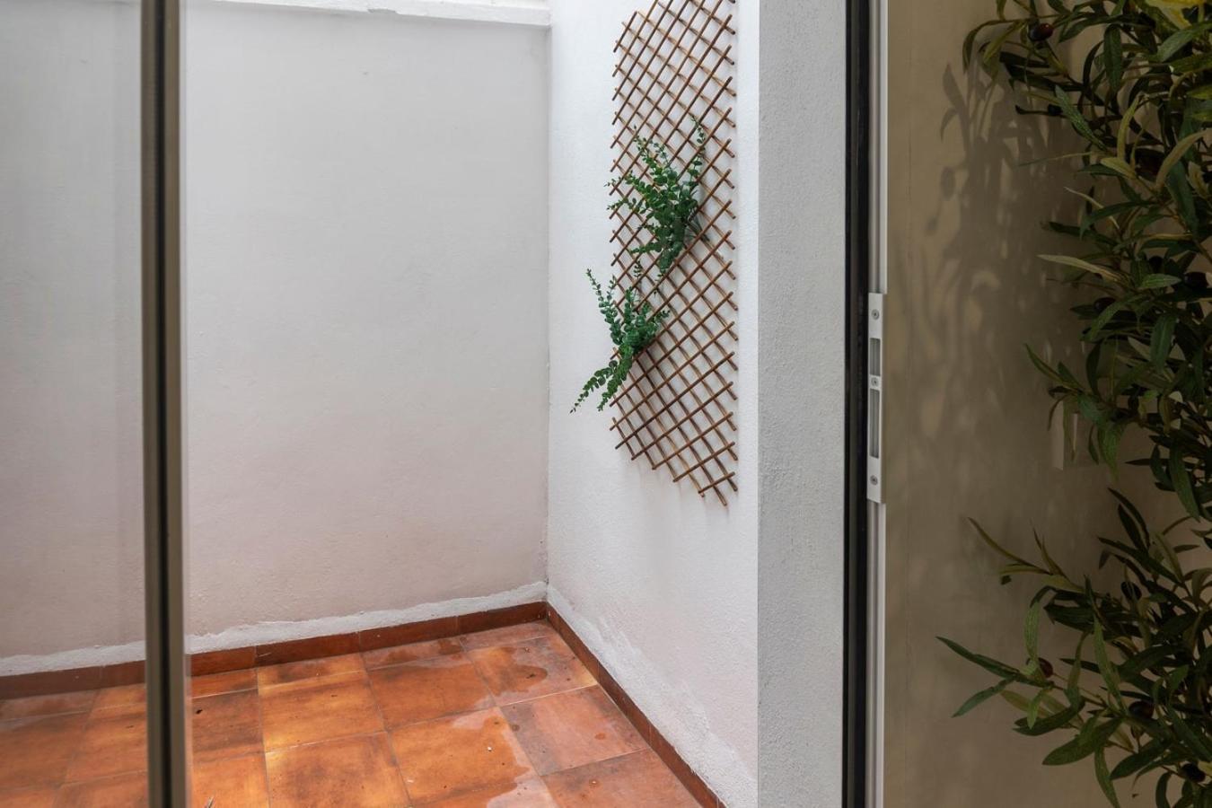Vlc Host - Alfaro A